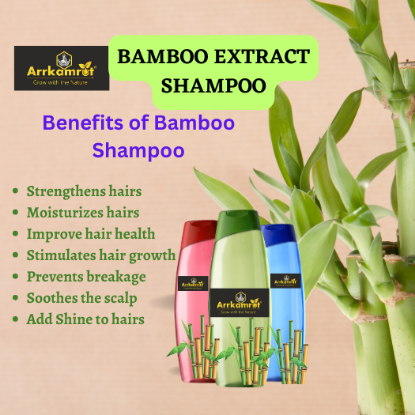 Picture of Bamboo Extract Shampoo